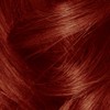 L’Oréal Paris L'Oréal Paris Colorista Semi-Permanent Hair Color For Brunettes,