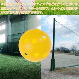 PURESEK 50 PCS Puncture Ball Baseball Batting Training Ball Toss Batting Tea Batting Plastic