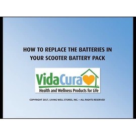 18 AH Scooter battery with bolt-on connectors by Interstate Battery