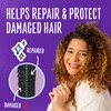 Aussie Miracle Repairer Shampoo with Aloe for All Hair Types,