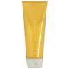 hoyu Promaster color care stylish treatment (200g)