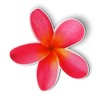 Plumeria Hawaiian Flower Tropical - Magnet - Car Fridge Locker
