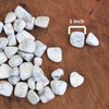 Prajet Crystal Natural Howlite Tumbled Stones 100 Grams White Howlite