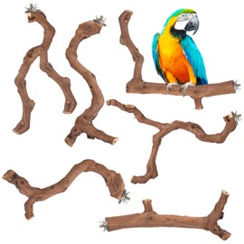 6-Piece Premium Bird Perch Stand with Natural Grape Wood Branch, Paw Grinding Fork, Chewing Stick, Cage Accessories for Parakeets, Budgies, Cockatiels, Finches, Lovebirds