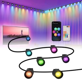 HEDCINLT RGBWIC String Downlights, Smart LED String Lights, Color Changing Indoor Wall Light Fixture for Party, Music Sync, App Control, 15ft with 12 LEDs, Black