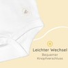Bramble & Bear (3/6-Pack) Short Sleeve Baby Bodysuits - Unisex