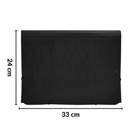 Raylu Paper® - 12 Pocket Accordion Opaque Plastic Folder with Dividers for Office (Black)