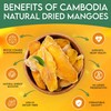 OR OR Cambodia Organic Dried Mango No Sugar Added -