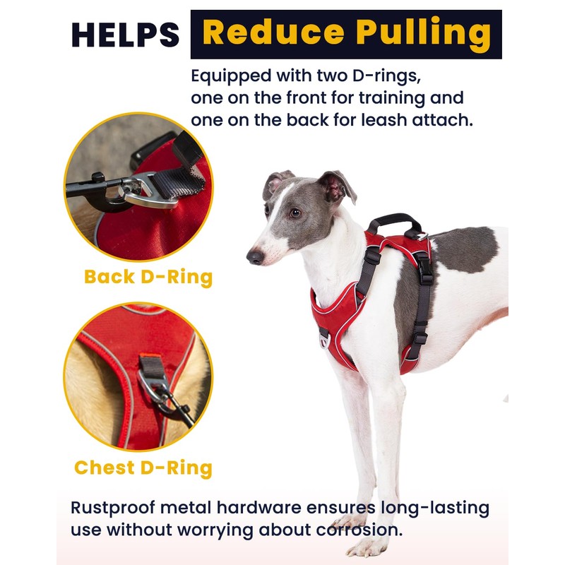 APDEXY No Pull Dog Harness with 2 Leash Clips, Reflective