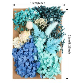 JOFONY Dried Flowers,Dried Flowers Set for DIY Scrapbook Accessories Flower Arrangements Flower Decoration Wedding Decoration(Blue)