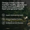 Momentous Omega-3 Fish Oil - High-Potency EPA & DHA Supplement