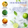 Baylis & Harding Citrus, Lime & Mint Men's Refreshing Travel