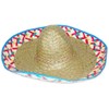 RINCO Embroidered Sombrero