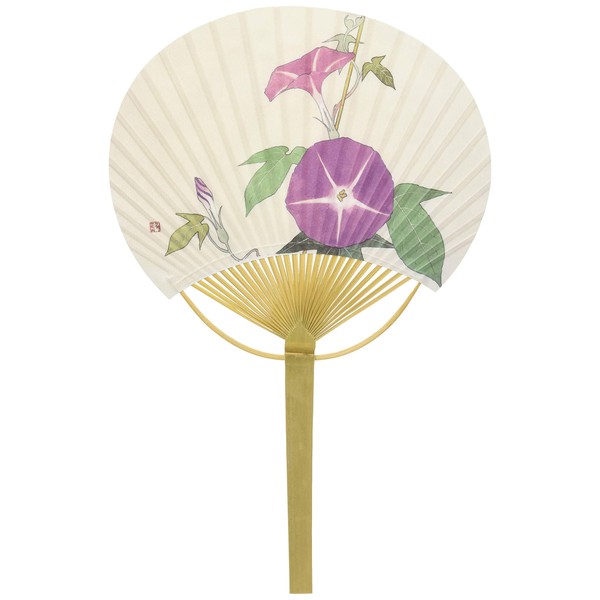 Shikoku Uchiwa Fan, Morning Glory, Hiratake, Large, Approx. 9.1 x