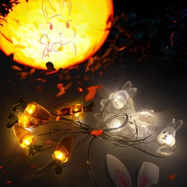 Easter Decoration Lights String Battery Operated 1M 10 LED Carrot Bunny Easter Egg Lights for Indoors Outdoor（2PCS）