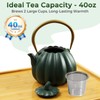 SKIKEN Pumpkin Cast Iron Teapot with Infuser - Japanese Kettle