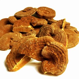Domestic Outlet Reishi Lishi 17.6 oz (500 g)