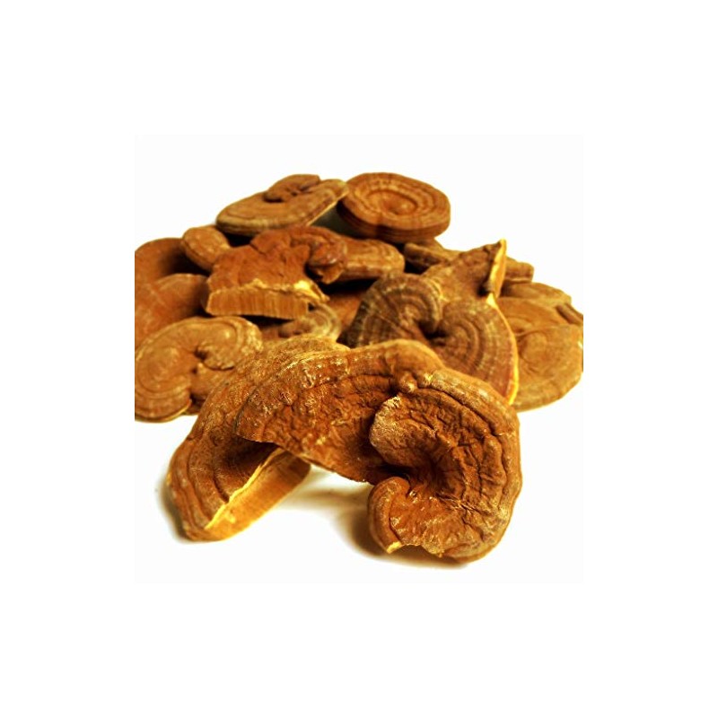 Domestic Outlet Reishi Lishi 17.6 oz (500 g)
