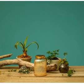 Takasho LGS-114 Garden Light Fairy Mason Jar, Gold