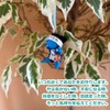 [Ohanamoana] Passing Bell Included, Salubobo, Passed, Prayed, Clover Sign, Prayer,