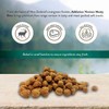 Addiction Meaty Bites - Hypoallergenic Dog Treats - Made in