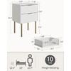 Aienvey Night Stand, Modern Bedside Table with 2 Storage Drawer,