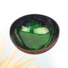 HEMOTON Coconut Bowls Natural Coconut Shell Bowl Decorative Key Storage