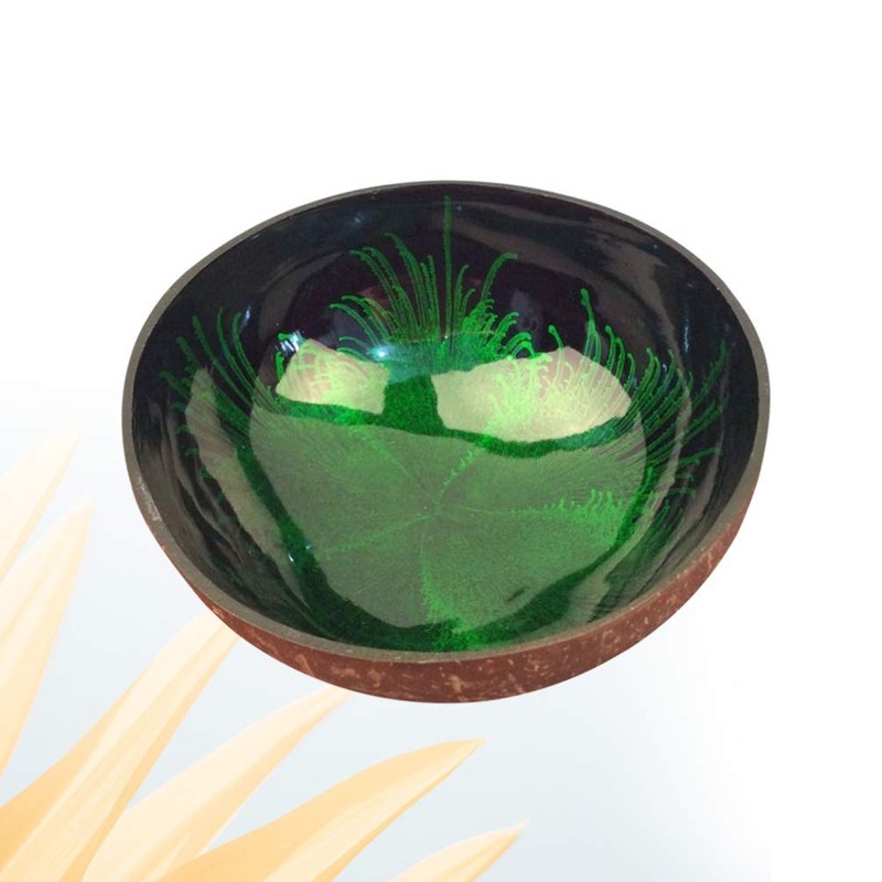 HEMOTON Coconut Bowls Natural Coconut Shell Bowl Decorative Key Storage