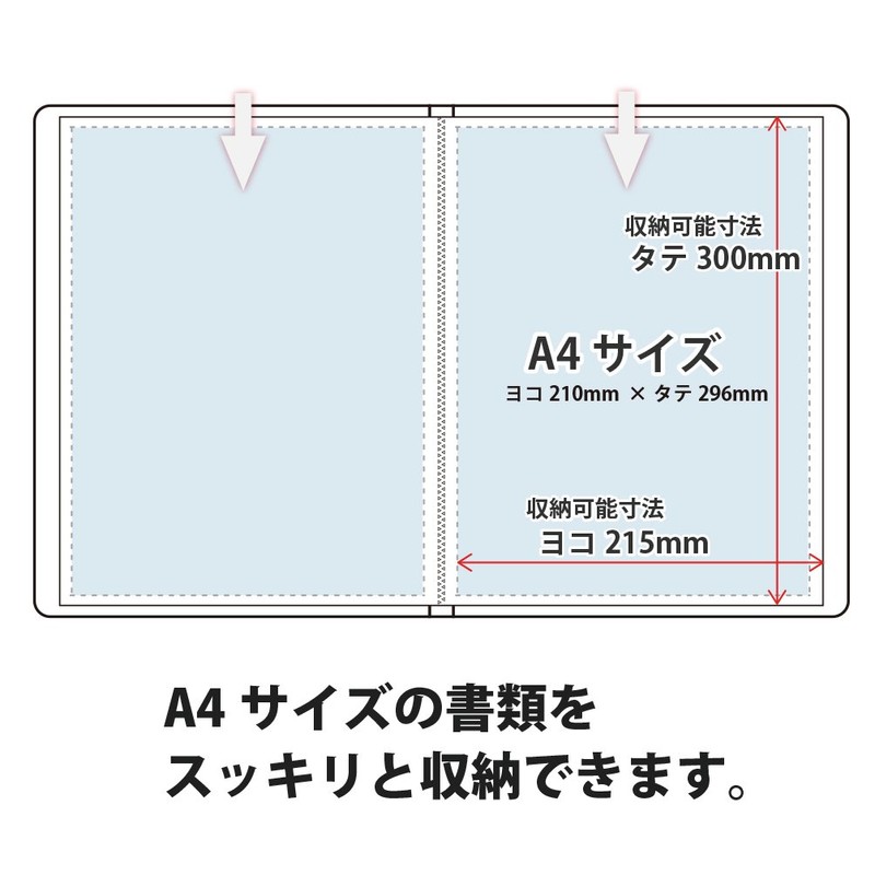 Plus Clear File Super Economy, nvy