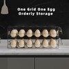 HIYOHIYO Clear 60 Egg Holder for Fridge, High Capacity Egg