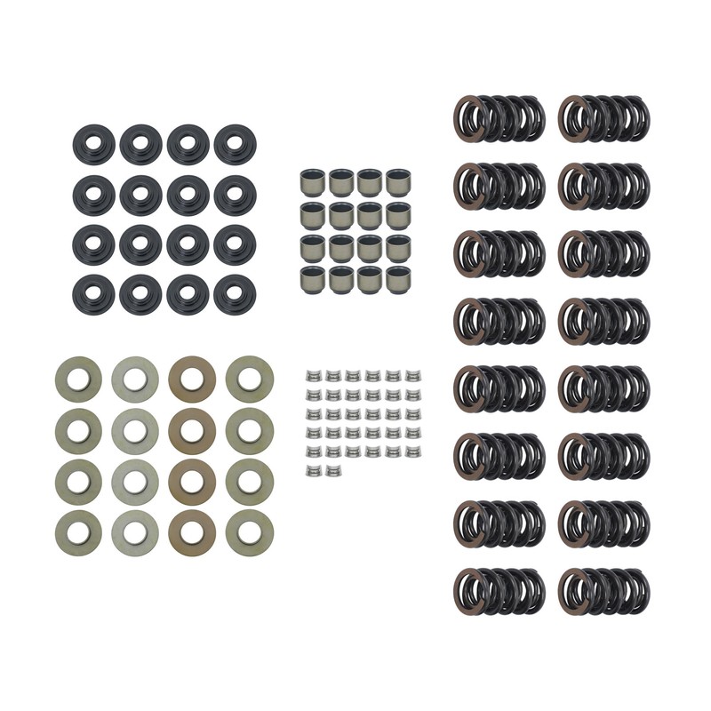Thomletha Dual Valve Springs Kit with Retainers Replacement for Gen3