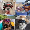 PETLESO Dog Goggles Small Breed, Dog Sunglasses for Small Breed
