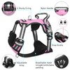 WINSEE Dog Harness No Pull, Pet Harnesses with Dog Collar,