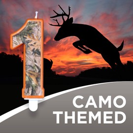 Camo Birthday 3 Inch Number "1" One Candle, Next Camo Party Collection by Havercamp