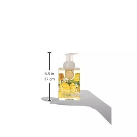 Michel Design Works Espuma De Jabón De Mano, Onza 17.80-flui