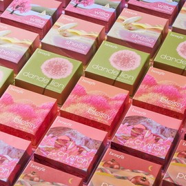 Benefit Blusher (Choose 1 of 7 types) (+ Liquid Blush Deluxe) Sunny / 베네피트 블러셔 (7종 택1)(+리퀴드 블러시 디럭스) 써니
