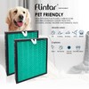 Flintar Vital 200S Toxin/Smoke Absorber Replacement Filter, Compatible with LEVOIT