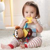Skip Hop Bandana Buddies Activity Toy, Monkey