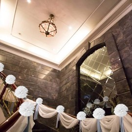 Lightingsky 10pcs Tissue Paper Pom Poms DIY Decorative Flowers Ball Perfect for Party Wedding Home Outdoor Decoration (White, 6 inch)