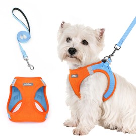 rabbitgoo Dog Harness Small Sized and Leash Set, Step in Soft Light Puppy Vest, Breathable Mesh Pet Harness, Reflective for Safe Easy Walking, Blue & Orange S