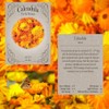Flower Seed Set - Flower Varieties of Non-GMO & Heirloom