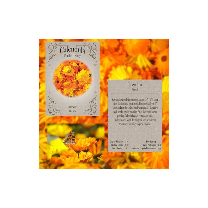 Flower Seed Set - Flower Varieties of Non-GMO & Heirloom