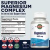 Kal 500 Mg Magnesium Tablets, 60 Count