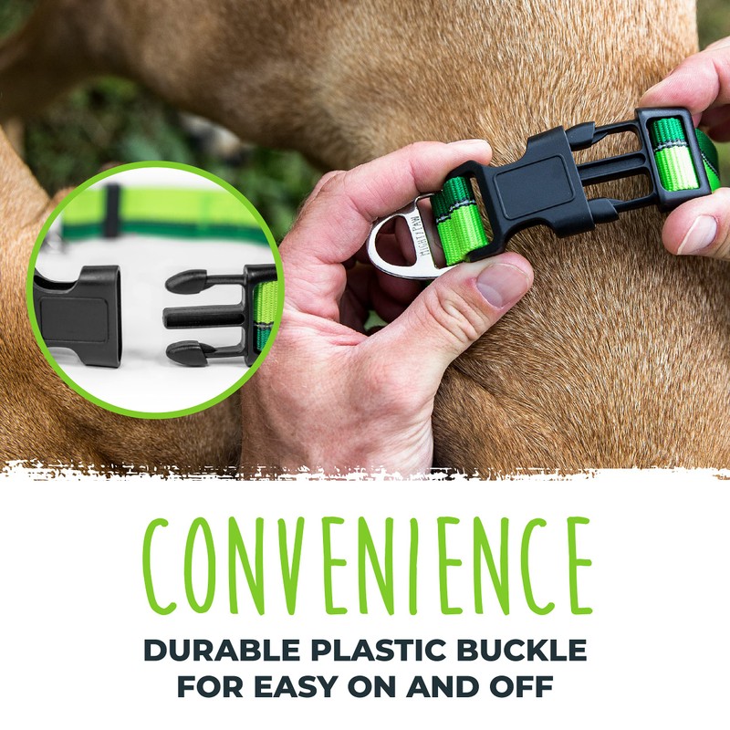 Mighty Paw Martingale Dog Collar - Gentle Correction with No