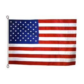 Annin Flagmakers American Flag All-Weather Nylon SolarGuard Nyl-Glo, 8 x 12 Feet (Model 2320) 100% MADE in USA