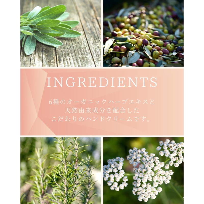 Snowdrop Organic Hand Cream, Mintea Orange Scent, Multi Cream, Non-Stick