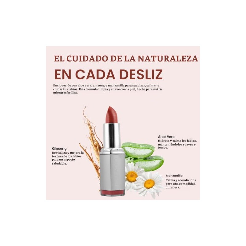 e.l.f. Cosmetics Pout Clout Plumping Lápiz para Labios de Taupe