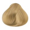 Pravana Tinte 10.03 - Rubio Extra Claro Transparente Dorado