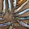 Little Jack METAL ADICT-03 0.7 oz (20 g) ALLOY (Alloy)