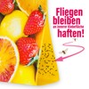 inseko Fruchtfliegen Falle I effektive Obstfliegenfalle I inkl. Fruchtfliegenköder und